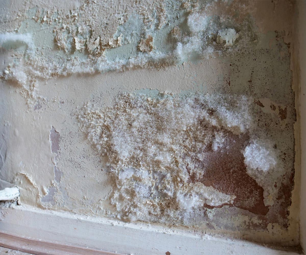 HUMITECH srl | Humitech humidite ascensionnelle