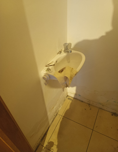 humitech avant after (2)